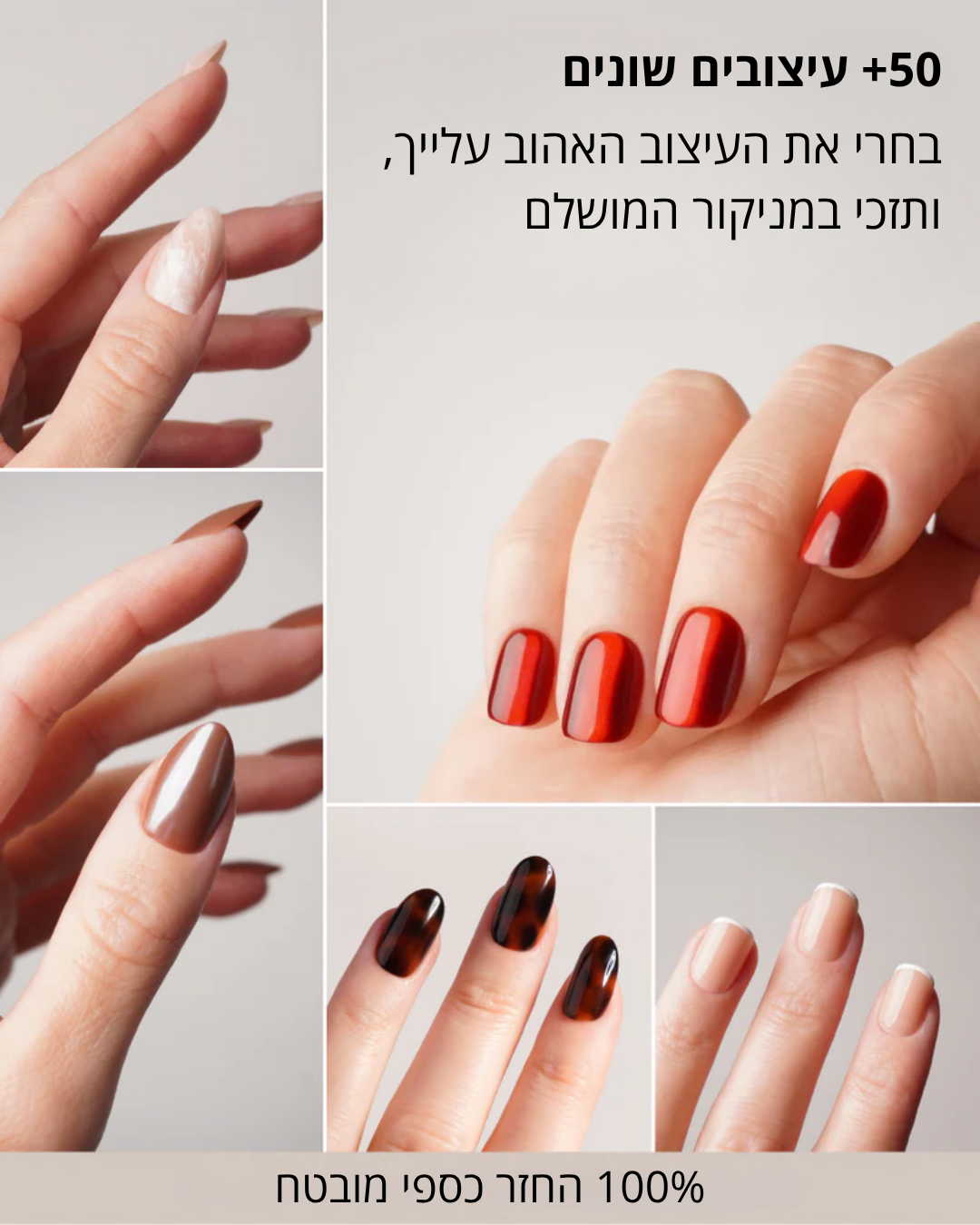 מארז הציפורניים של MYNAILS
