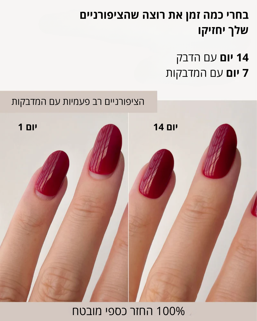 מארז הציפורניים של MYNAILS